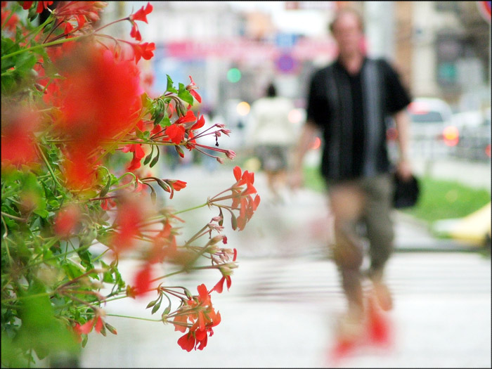 Пражский набросок