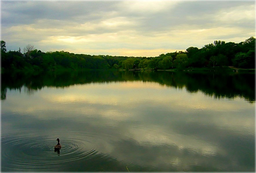аб праблемах пошуку ПП