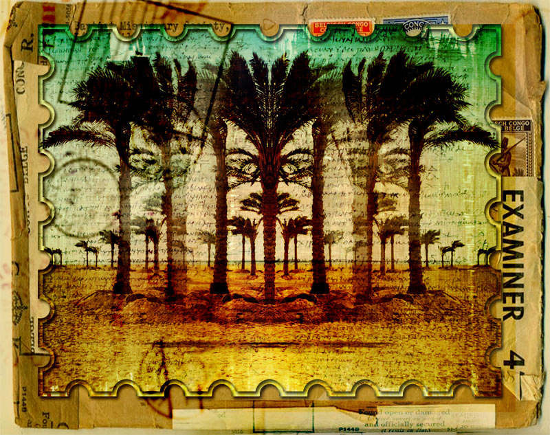 паздравительная открытка из африки