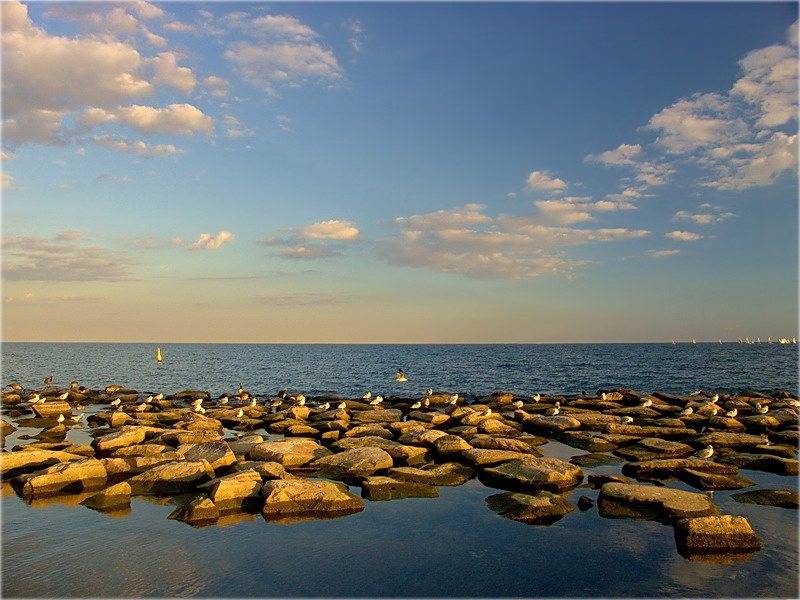 вандроўнікі