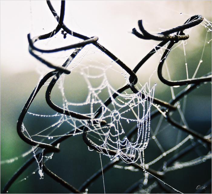 Хитросплетение