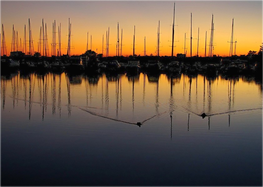 парушэньне кардыяграмы