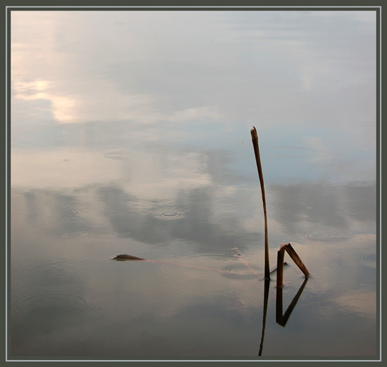 Дзен тишины...