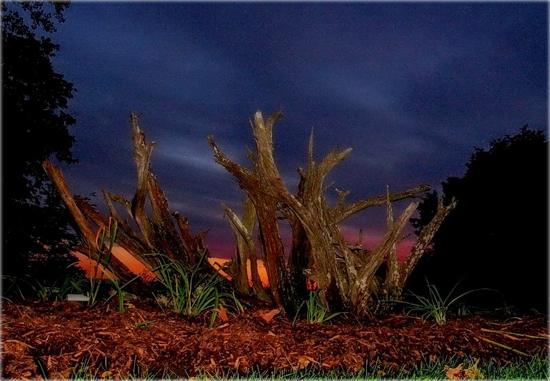 кто сказал, что земля умерла навсегда?..