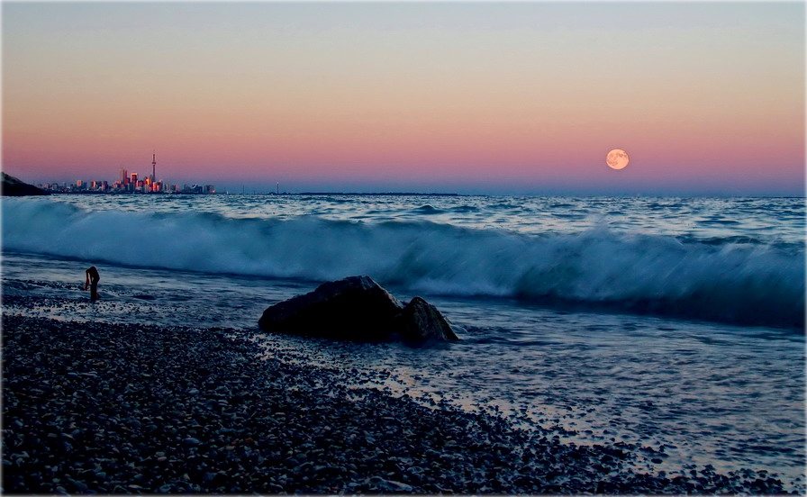 апошняя хваля