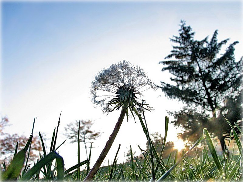 загуканьне зімы