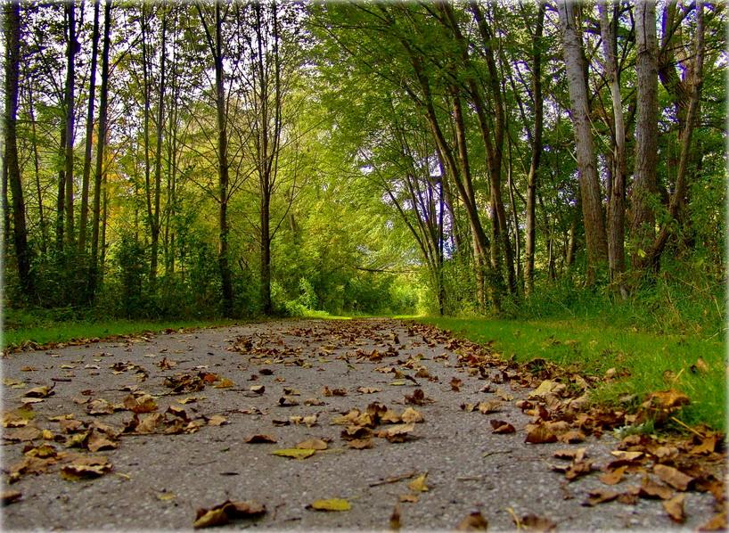 шчэ на лугах зялёная трава..