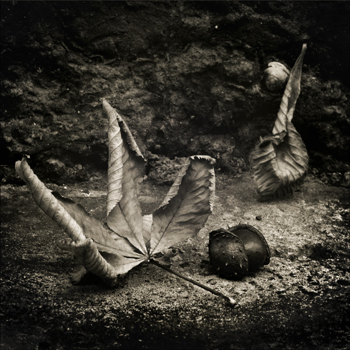 пра осень карточка