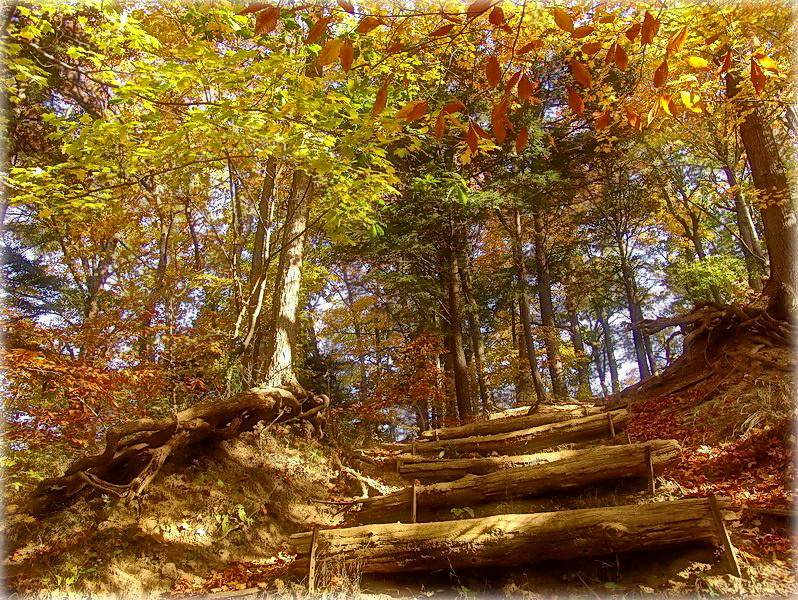 ўсіх прымае восень у абдоймы..