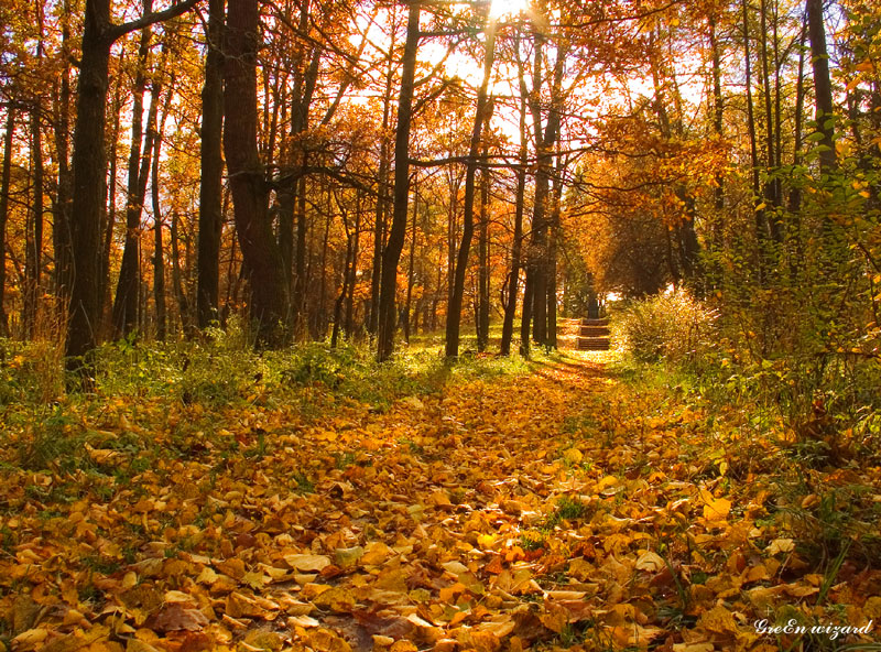 ... листьями шурша...