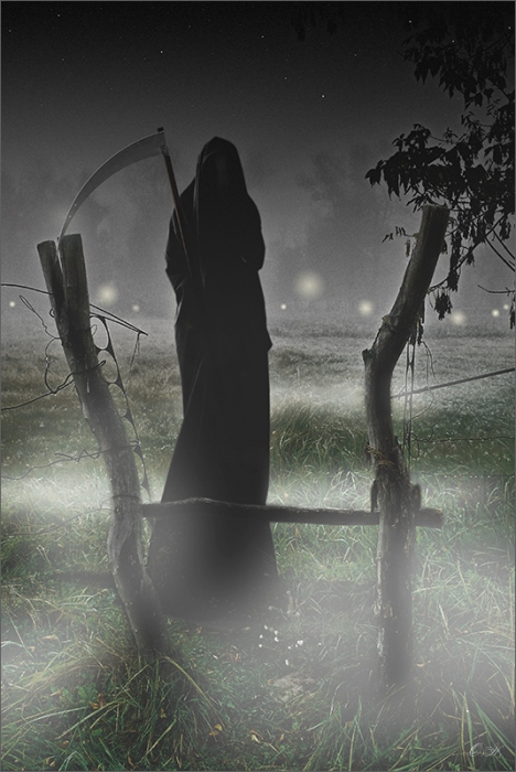 Ночь.Кладбище.Тропинка