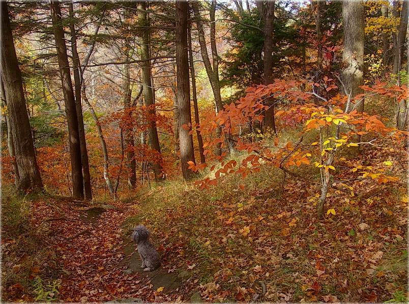 гэта -- восень, ..а за ёю - зіма...