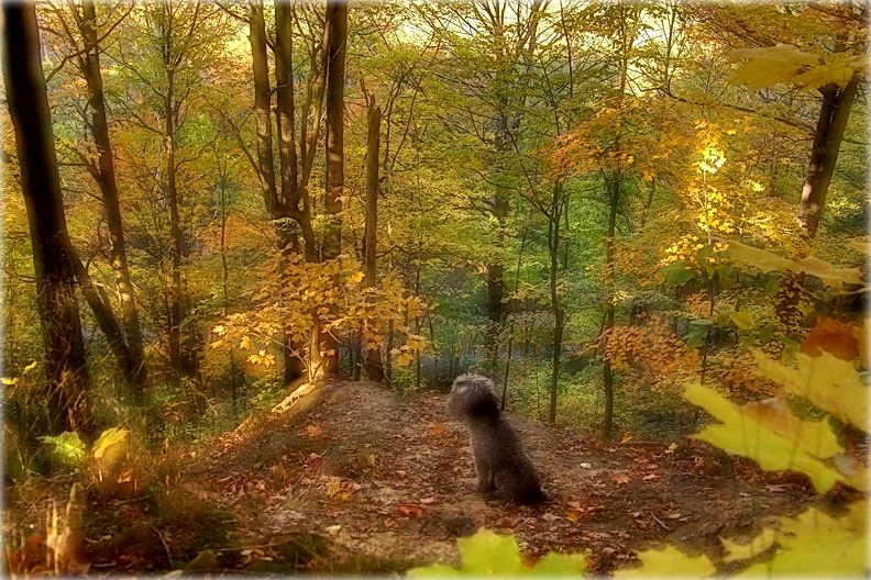 гэта -- восень, ..а за ёю - зіма... 2