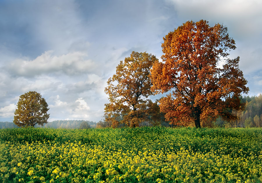 Осенняя, пестренькая