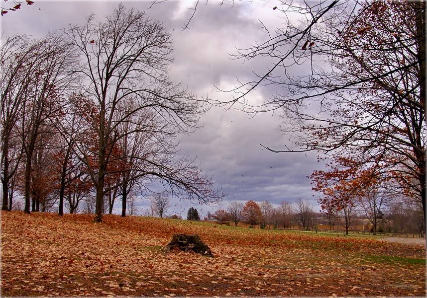 і скачуць крыжачка й лявоніху лісты..