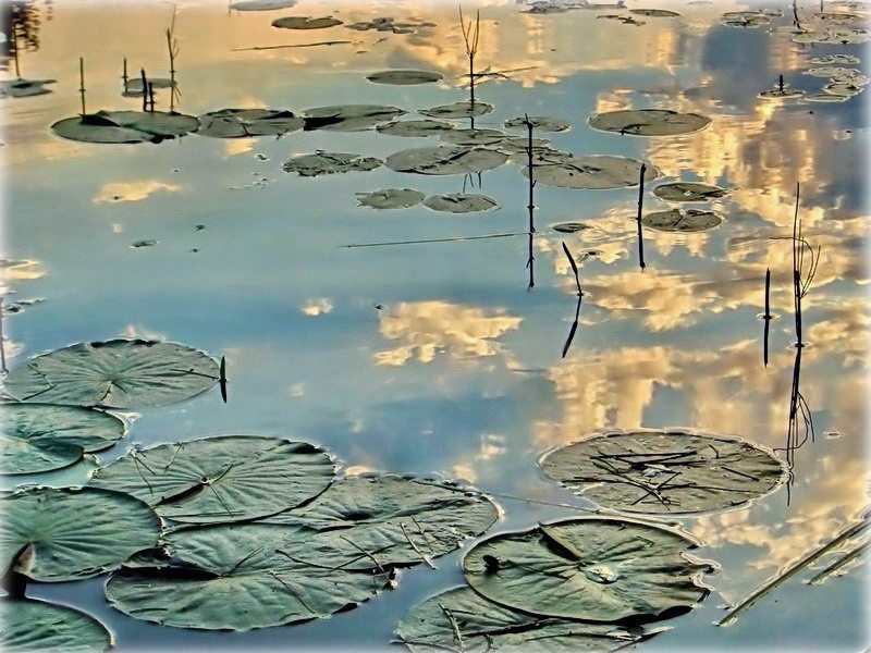 просьценькая .. бяз назвы, сэнсу, і сюжэту..