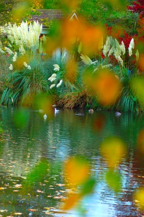 Осенняя акварель