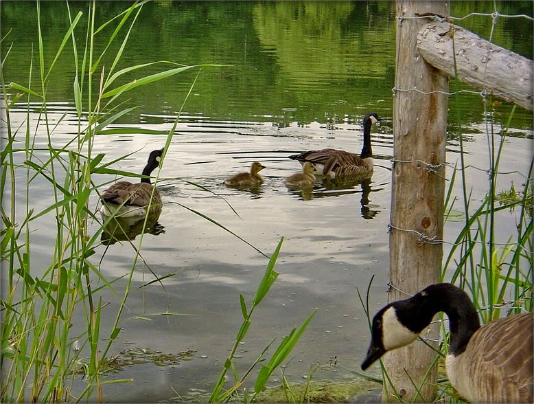 з пункту гледжаньня бабыля