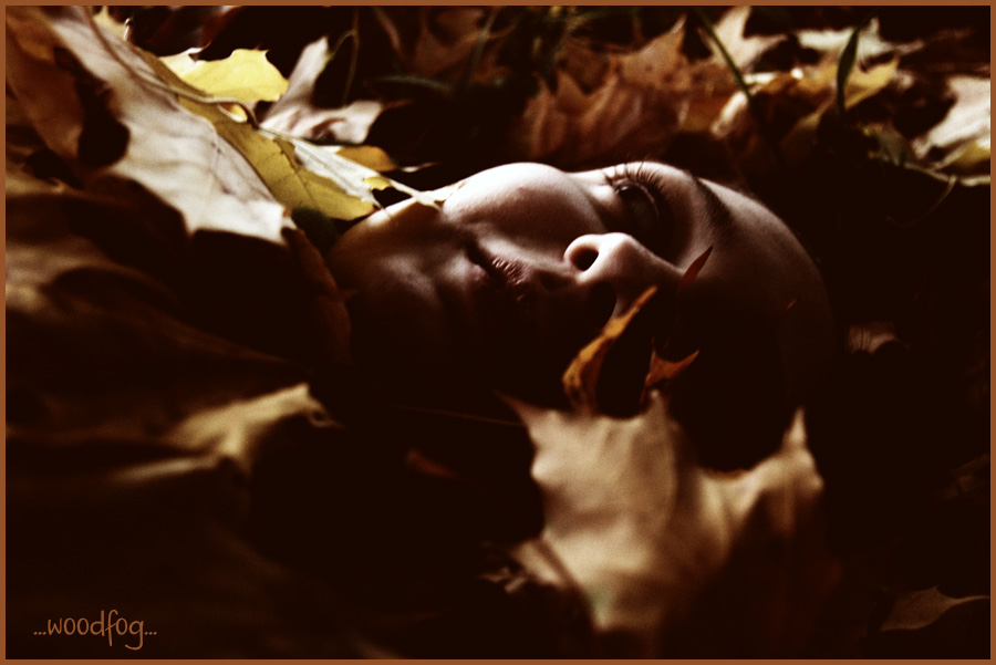 ...окончательно срылась...