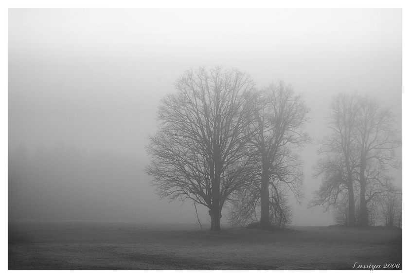 Там, за туманами, вечными, пьяными...