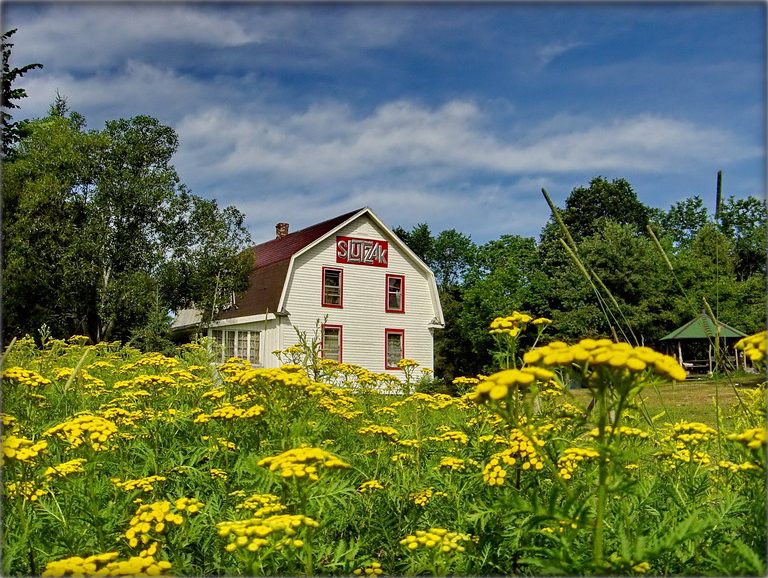 недзе ў мускоцкіх травах...