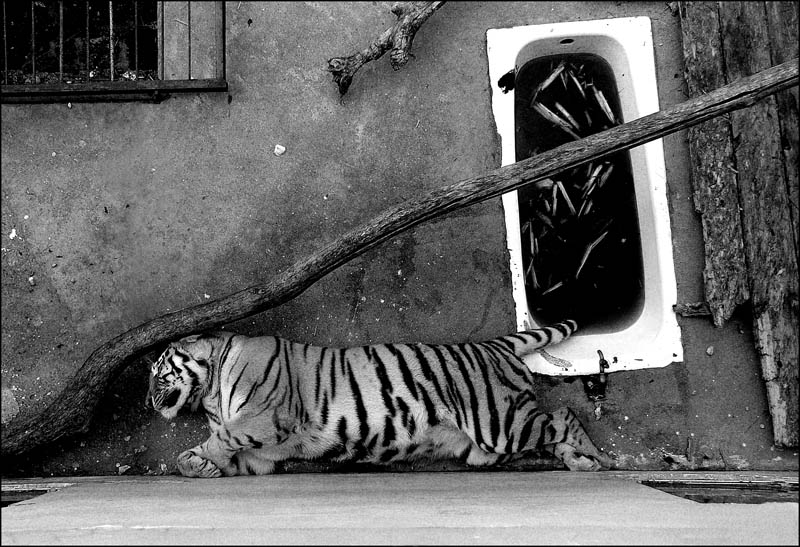 номер с удобствами