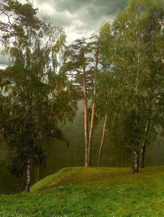 Дождь начинается