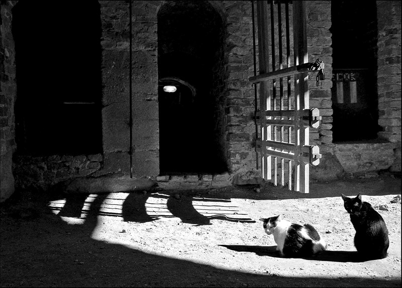 Стражи старых ворот