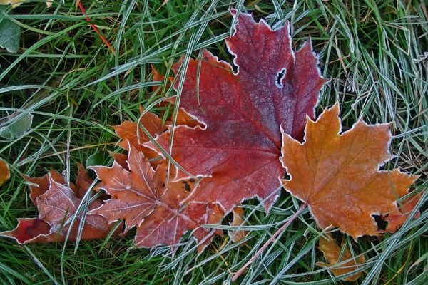 Портрет Октября