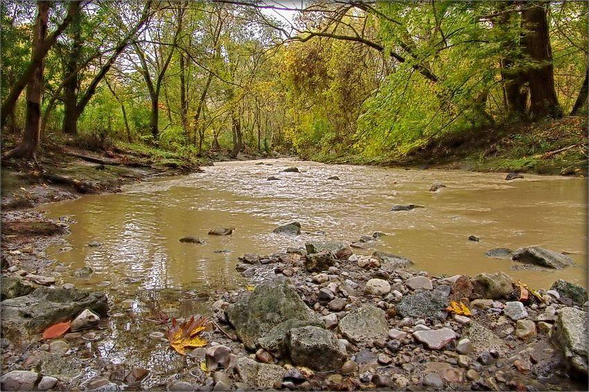 season of yellow ..2