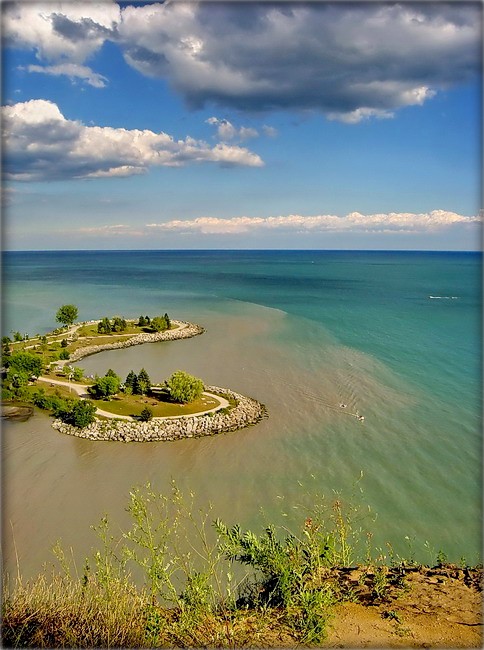 season of yellow ..3