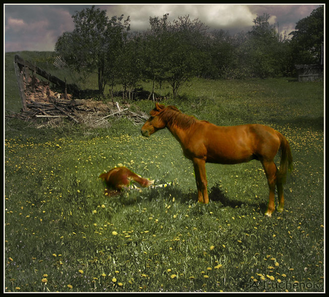 ВСЕ, ЧТО ОСТАЛОСЬ...