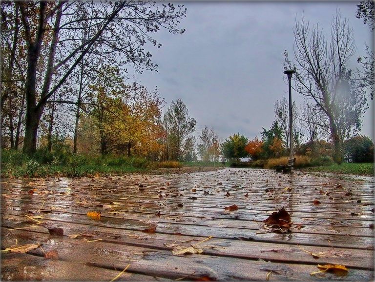 няма канца дажджу...