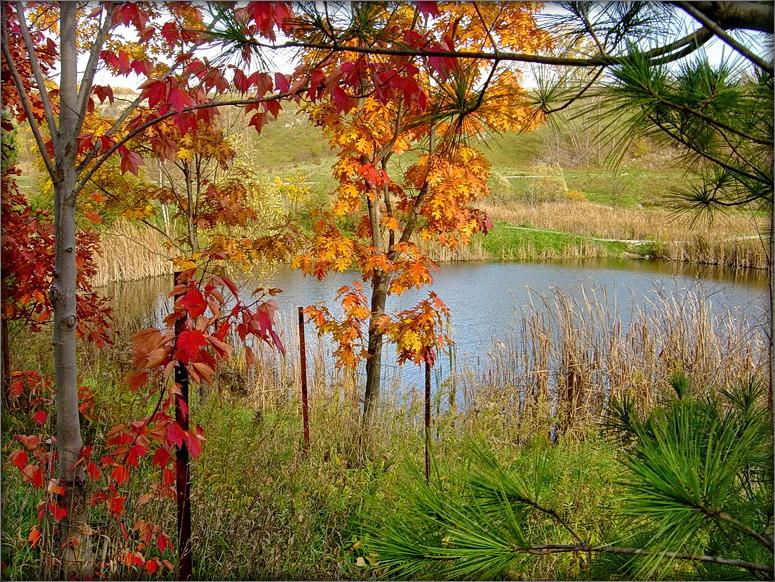 это омут -- бабье лето...