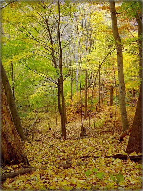 не захоча хай ніхто мяне шукаць