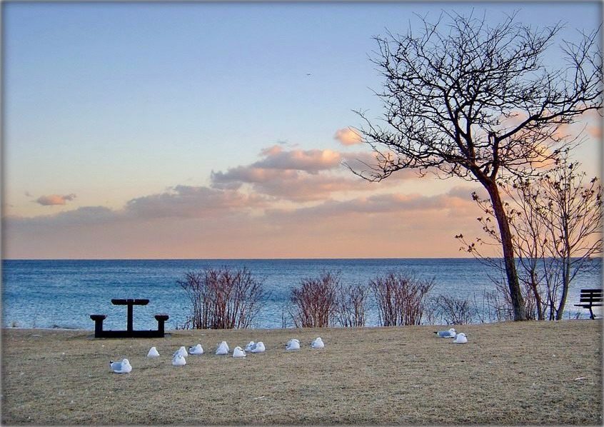 а я застаюся з табою..