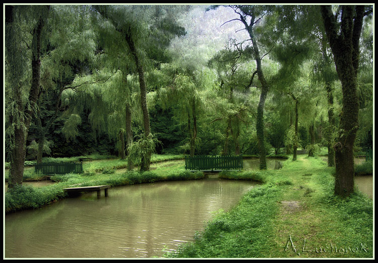 ФОРЕЛЕВЫЕ ПРУДЫ