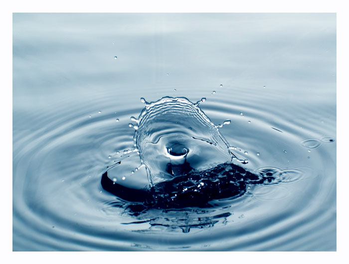 всепоглощающее беспозвоночное засасывающее всe на своем пути