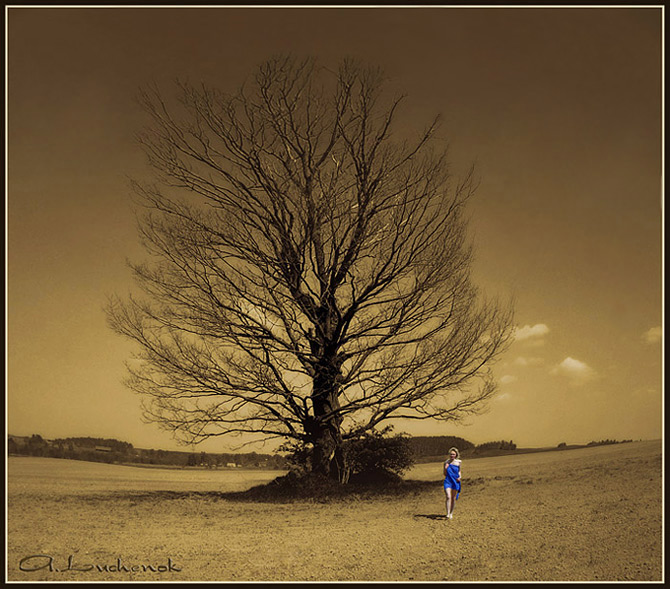 Когда деревья были большими