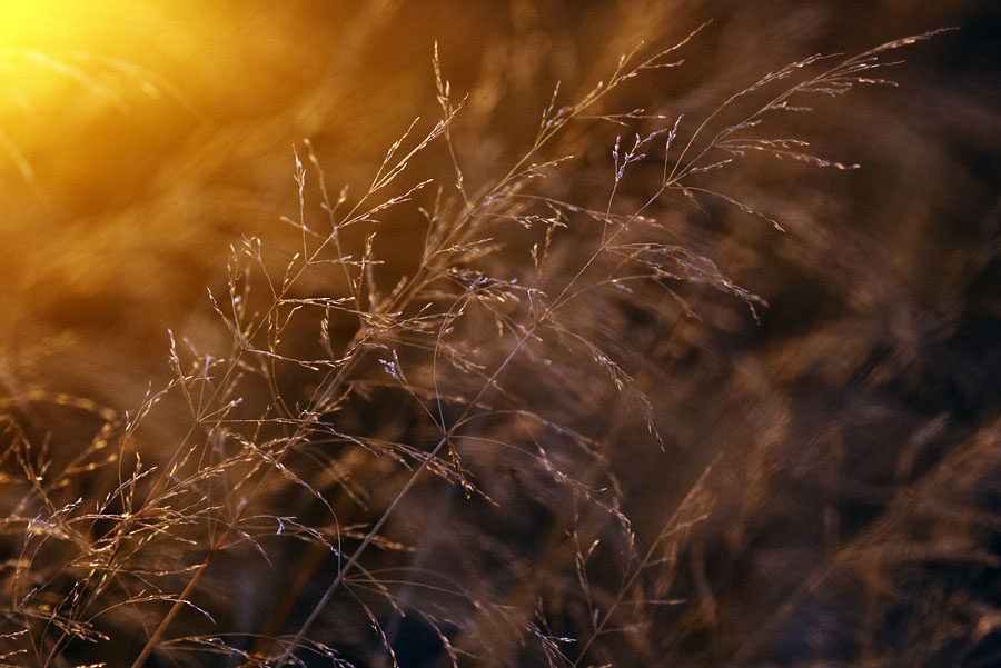 немного тепла