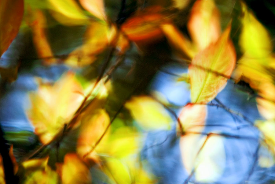 Мелодии осени (Jazz)