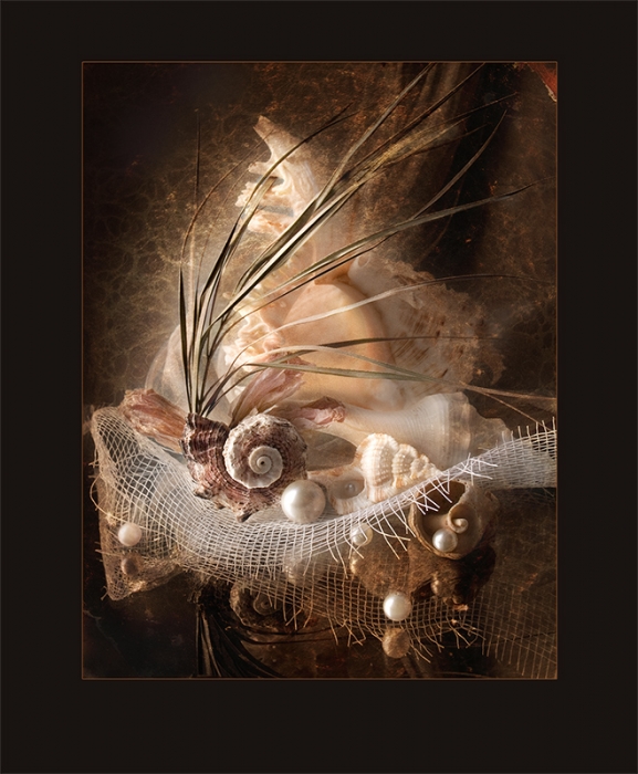 натюрморт с ракушками
