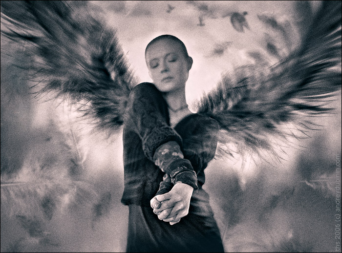 Ветреное чувство