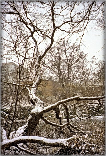 ніхто не хацеў паміраць...
