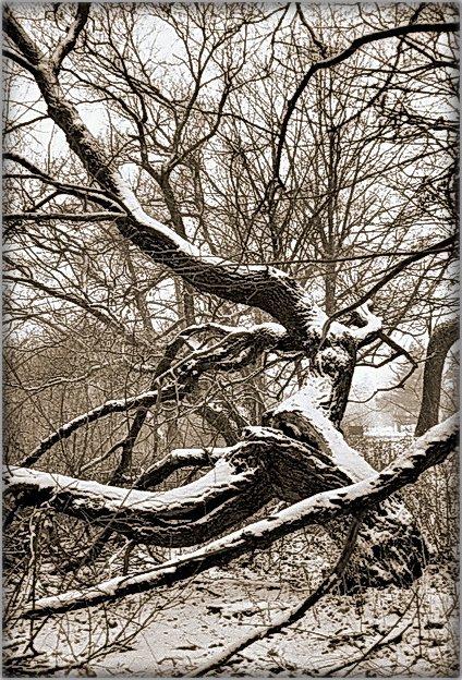 ніхто не хацеў паміраць... 2