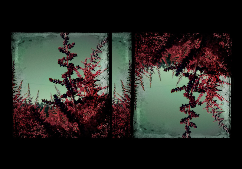 запретные травы