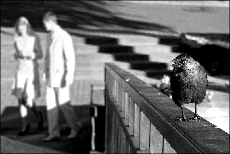 Накаркать...