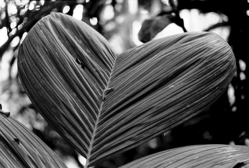 С праздничком