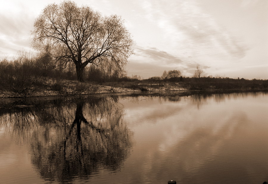 Отражение...