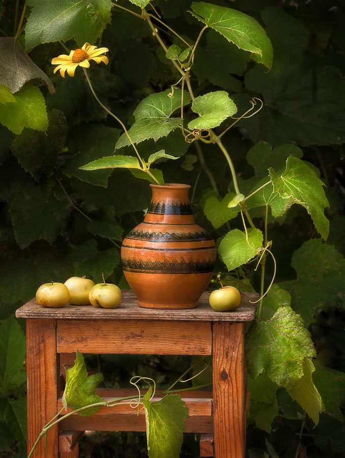 Натюрморт с виноградником